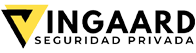 Seguridad Vingaard